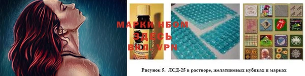 PSILOCYBIN Балабаново