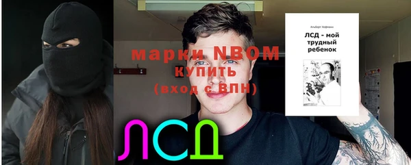 PSILOCYBIN Балабаново